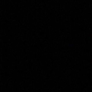 Meet your Posher, Maddie